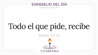 Evangelio del D&iacute;a Jueves 26 Feb 2026: Mateo 7,7-12 + Reflexi&oacute;n de Hoy 🙌